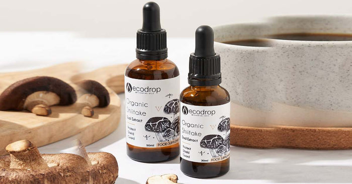 4 Health Benefits of Organic Shitake Mushroom Tincture! - Ecodrop Limited