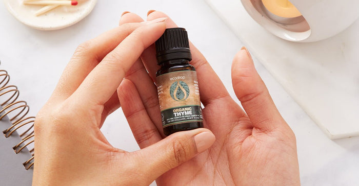 5 Health Benefits of Thyme Essential Oil & Its Uses! - Ecodrop Limited