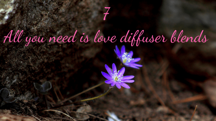 7 All you need is love Diffuser blends - Ecodrop Limited