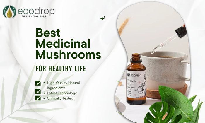 Unlocking the Healing Potential of Medicinal Mushrooms