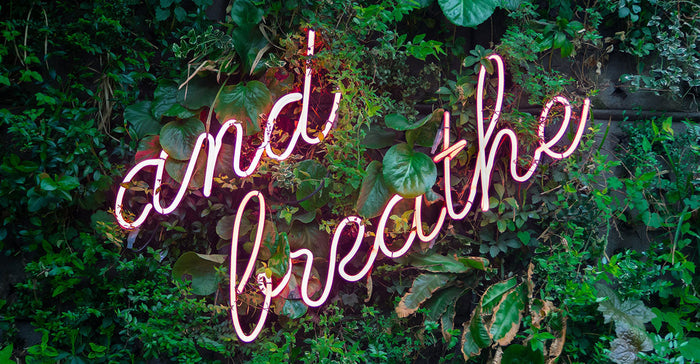Essential Oils for Healthy Respiration