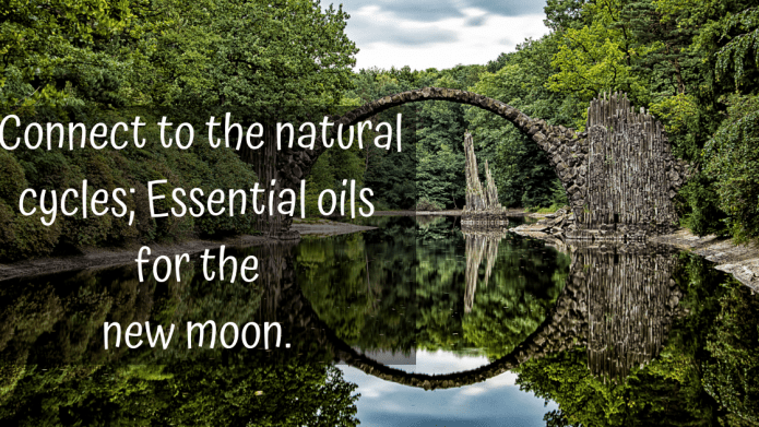 Connect to the natural cycles; Essential oils for the new moon. - Ecodrop Limited