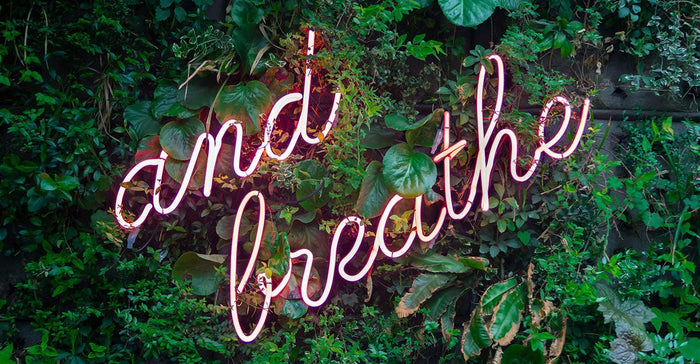 Essential Oils for Healthy Respiration - Ecodrop Limited