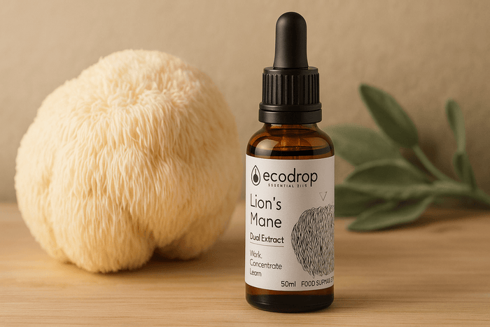 Unlocking the Healing Potential of Medicinal Mushrooms - Ecodrop Limited