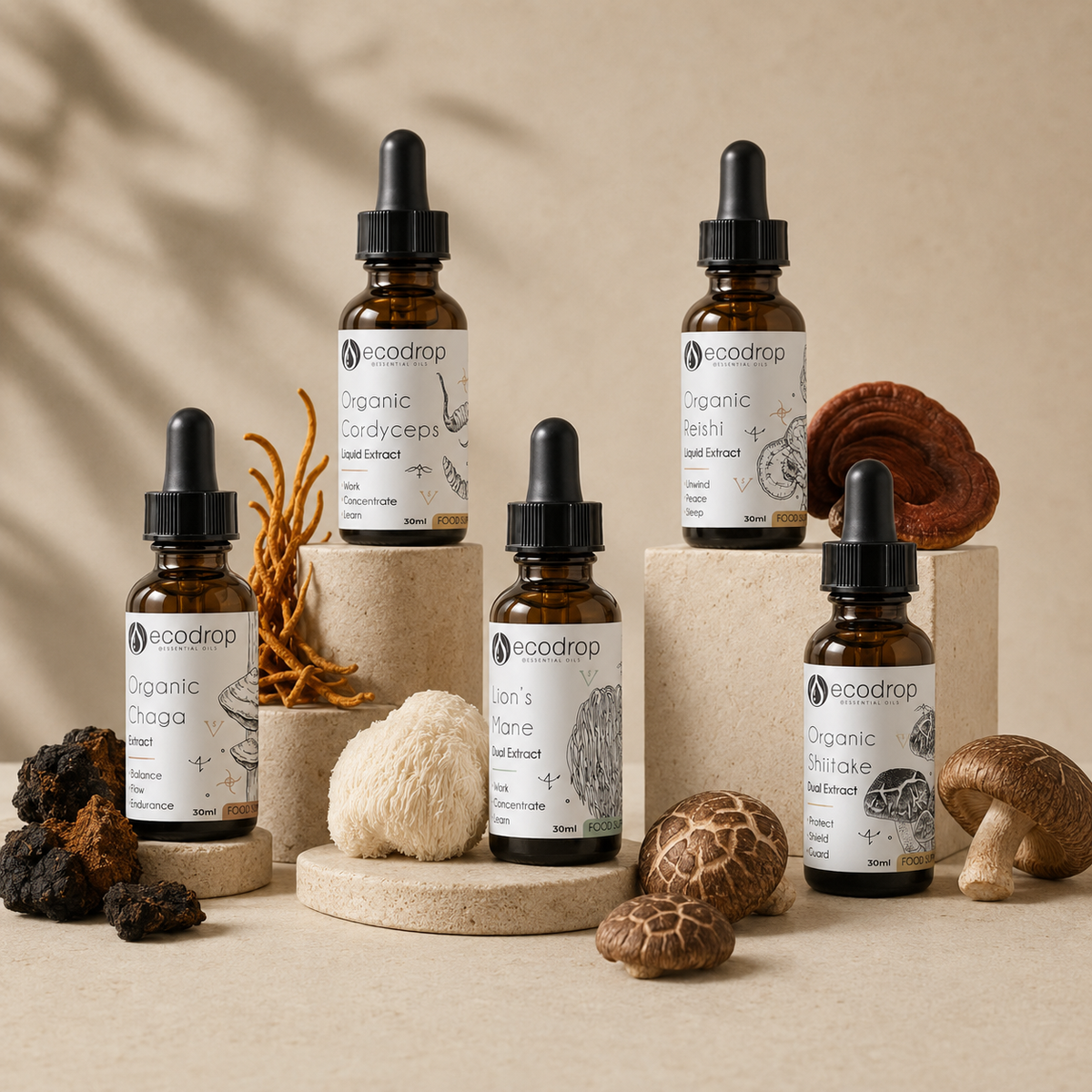 Mushroom tincture Bio Hacker Set 30ml: Lion's Mane, Reishi, Chaga, Cordyceps and Shiitake drops