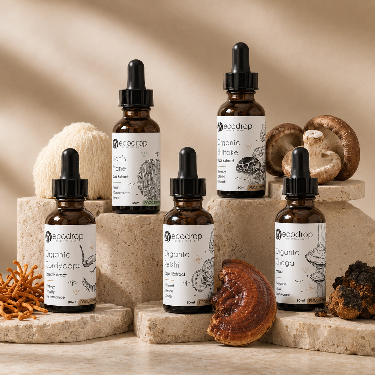 Mushroom tincture Bio Hacker Set 50ml: five dual extract dropper bottles with whole mushrooms