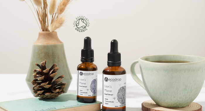 Two bottles of ecodrop's lions mane mushroom tincture on a table with a cup and decorative items.
