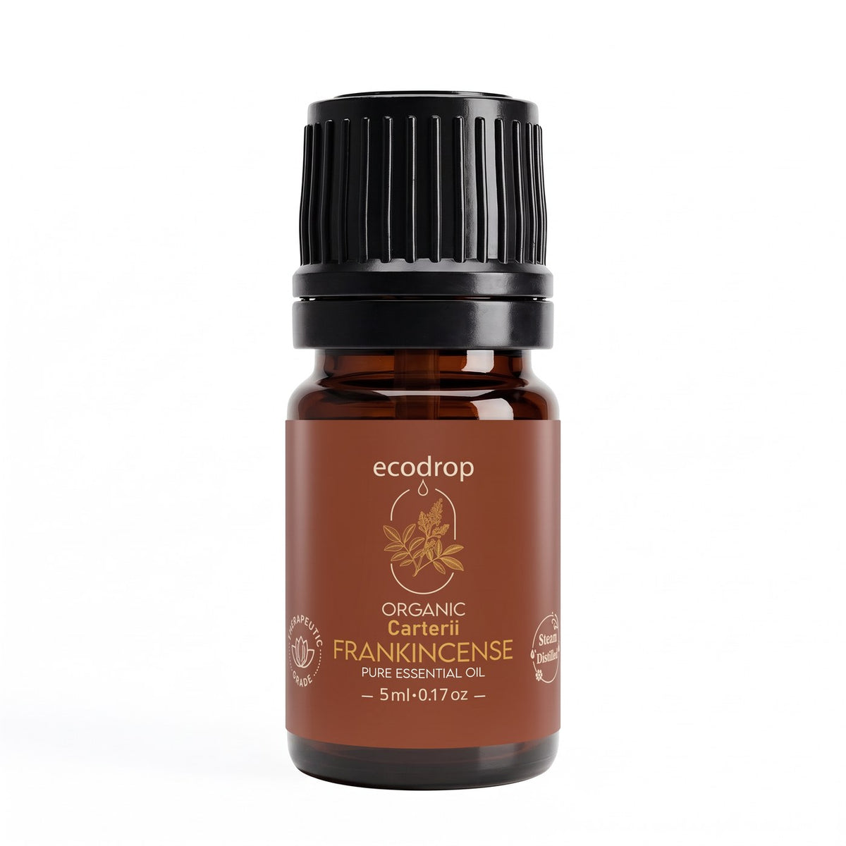 Organic Frankincense Carterii essential oil 5ml amber dropper bottle by Ecodrop
