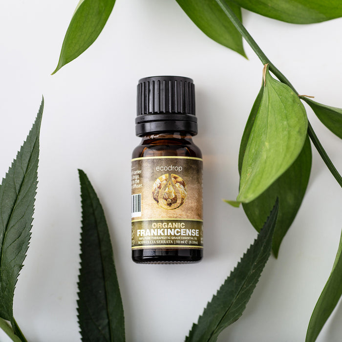 Organic Frankincense Serrata Essential Oils, 10ml