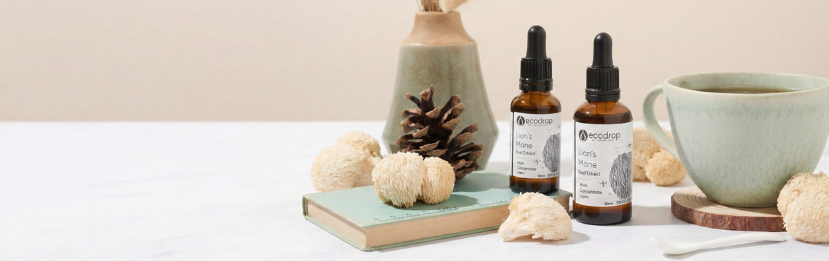 Lion's Mane mushroom tincture bottles with dried botanicals