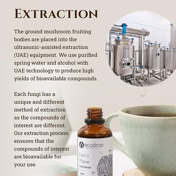 Organic Nordic Lion's Mane Mushroom Double Extract Liquid - ecodrop