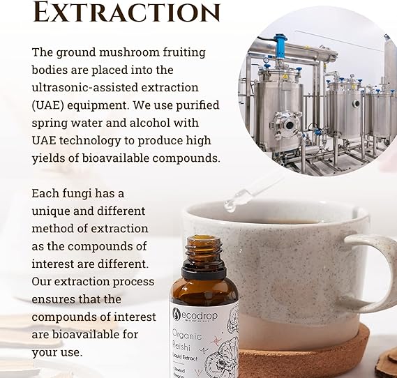 Organic Reishi Mushroom Double Extract Liquid - ecodrop