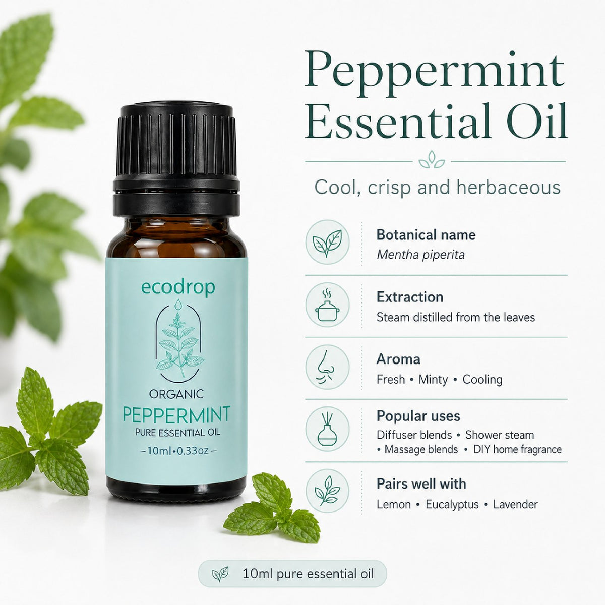 Peppermint essential oil specification: Mentha piperita, steam distilled from the leaves, fresh minty cooling aroma