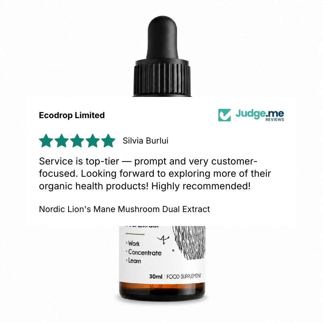 Review from Silvia Burlui
