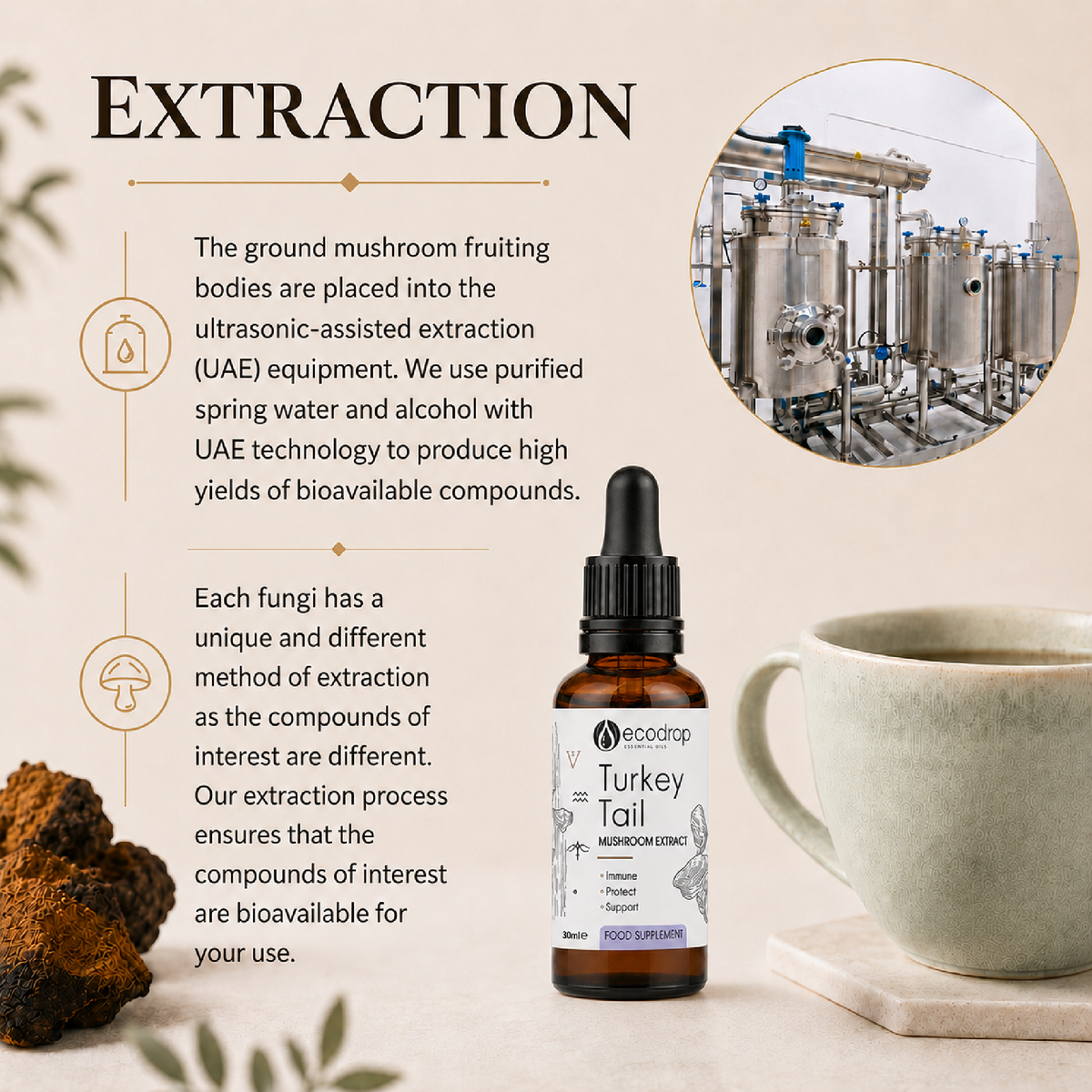 Turkey Tail dual extraction process