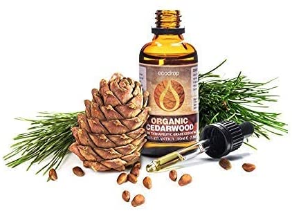 Organic Atlas Cedarwood Essential Oil, 50ml - ecodrop
