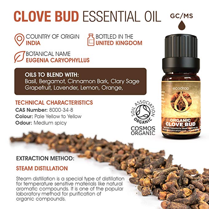 Organic Clove Bud Essential Oil, 10ml - ecodrop