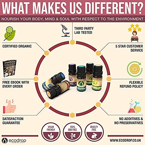 Organic Eucalyptus Essential Oils, 50ml - ecodrop