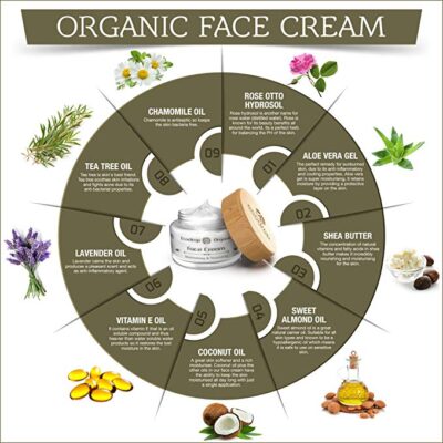 Organic Face Cream - ecodrop