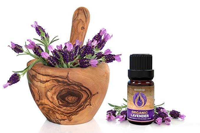 Organic French Lavender Essential Oil, 10ml - ecodrop