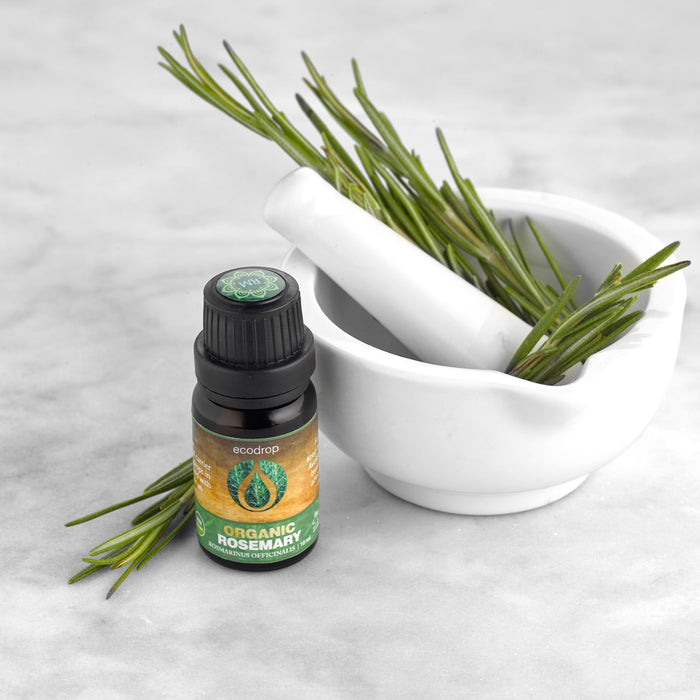 Organic Rosemary Essential Oil, 10ml - ecodrop