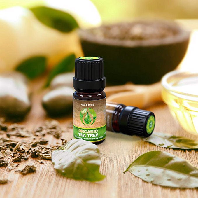 Organic Tea Tree Essential Oil, 10ml - ecodrop