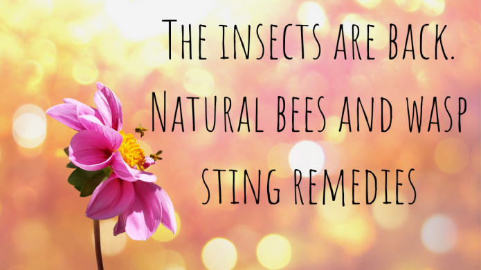 The insects are back. Natural bees and wasp sting remedies