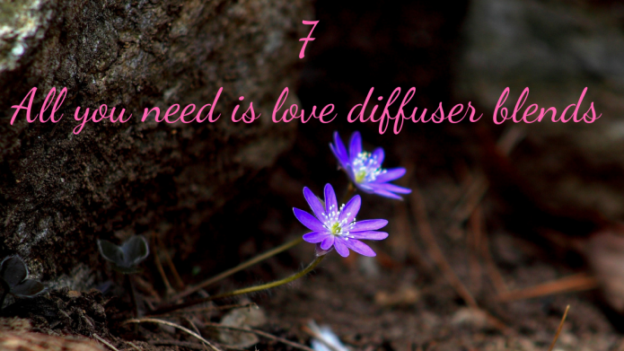 7 All you need is love Diffuser blends