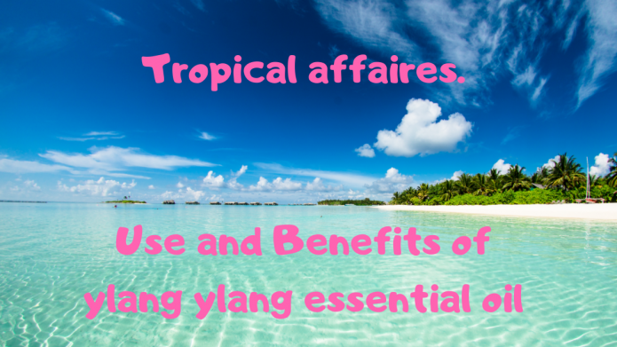 Tropical affaires. Use and Benefits of ylang ylang essential oil