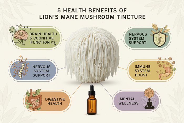 5 Health Benefits of Lion's Mane Mushroom Tincture