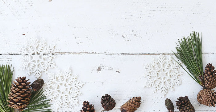 5 Pine Essential Oil Benefits and Uses for Wellness - Ecodrop Limited