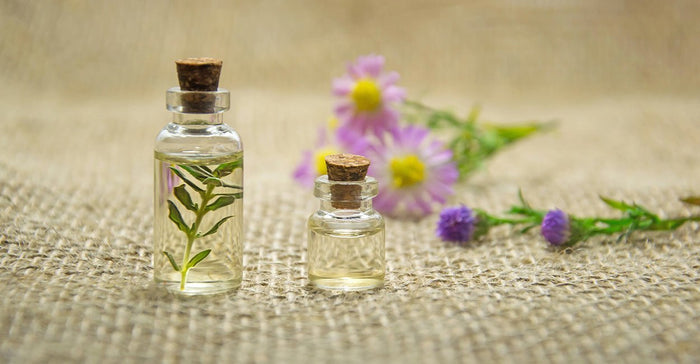 7 DIY Organic Diffuser Blends to Refresh Your Mind! - Ecodrop Limited