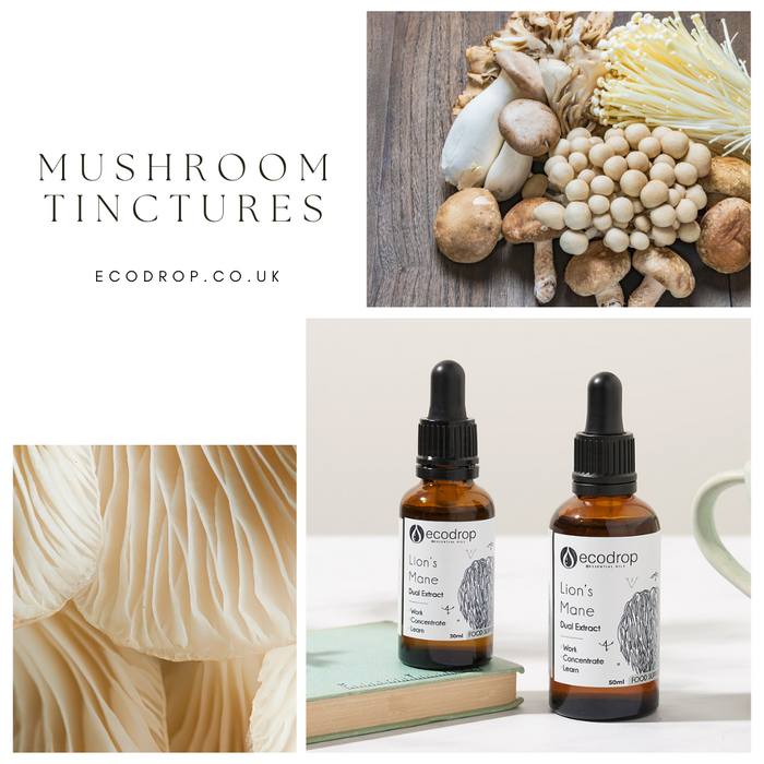 Making Organic Medicinal Mushroom Tinctures!