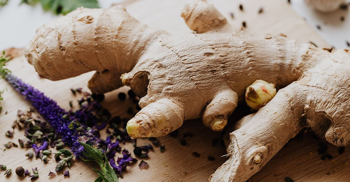 Ginger Essential Oil: Powerful Uses & Benefits - Ecodrop Limited