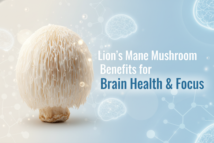 Lion’s Mane Mushroom — Benefits for Brain Health & Focus
