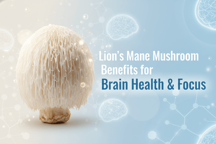 Lion’s Mane Mushroom — Benefits for Brain Health & Focus - Ecodrop Limited
