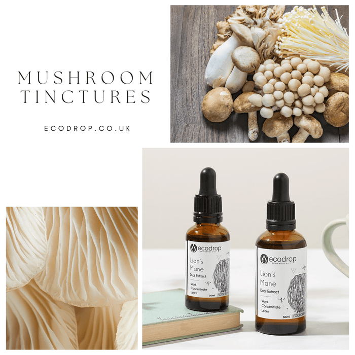 Making Organic Medicinal Mushroom Tinctures! - Ecodrop Limited