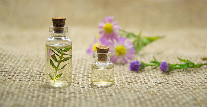 7 DIY Organic Diffuser Blends to Refresh Your Mind!