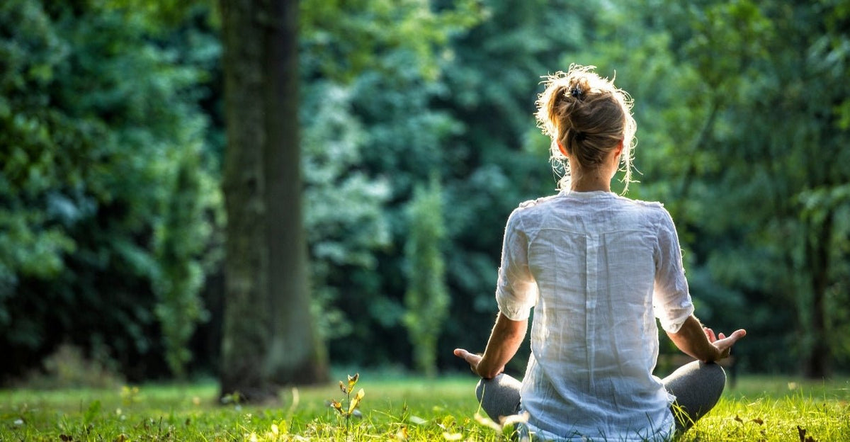 Top 3 Essential Oils for Grounding - Ecodrop Limited