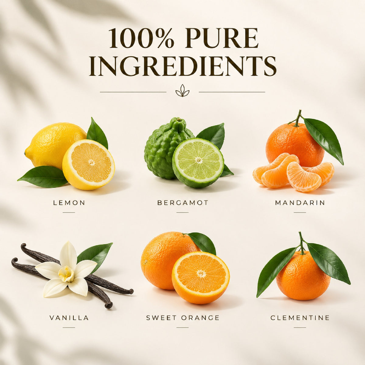 Citrus Delight ingredients: lemon, bergamot, mandarin, vanilla, sweet orange and clementine