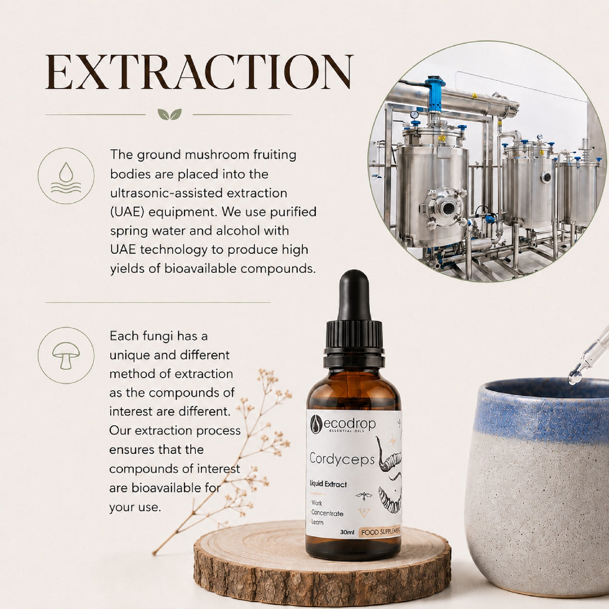 Cordyceps dual extraction process