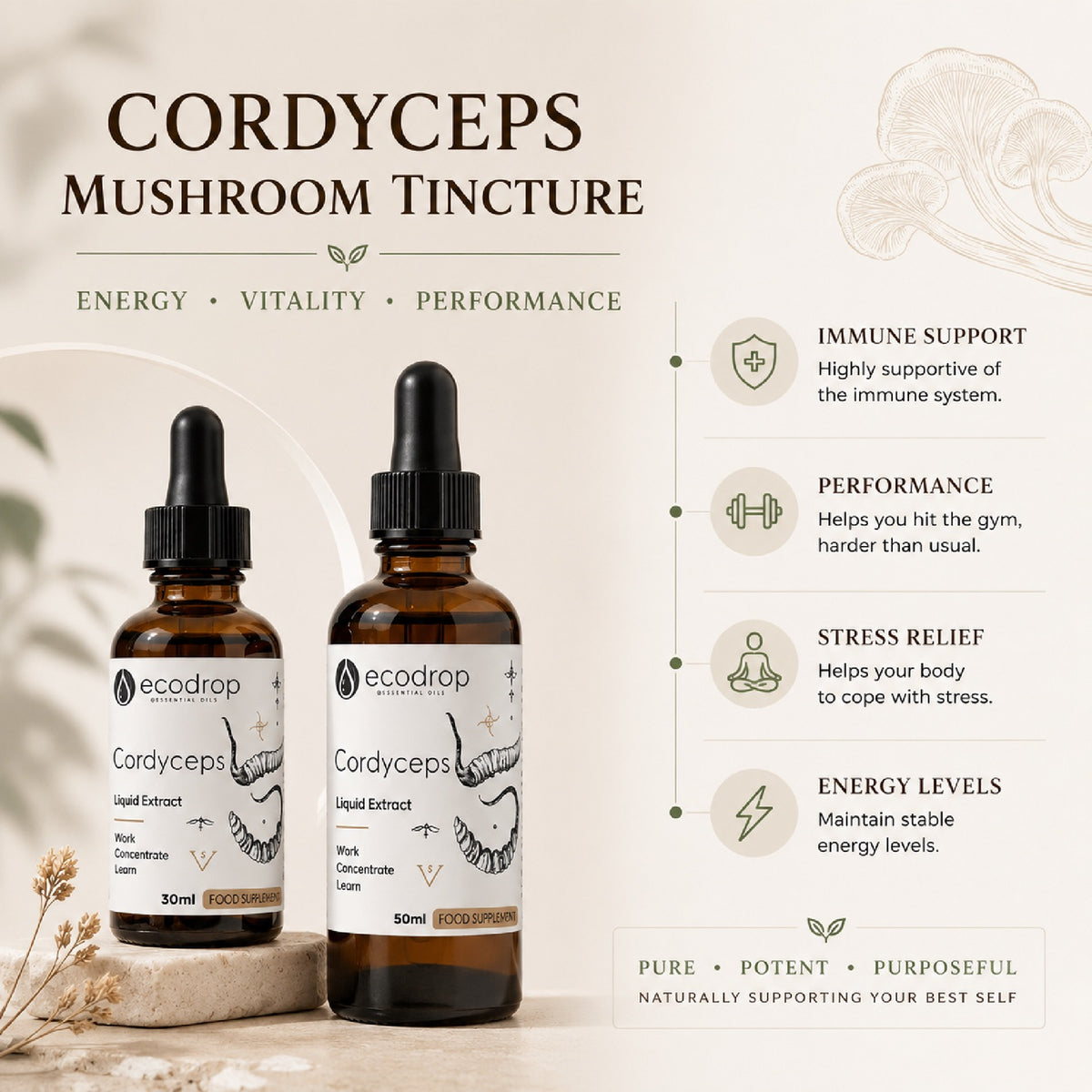 Cordyceps mushroom tincture