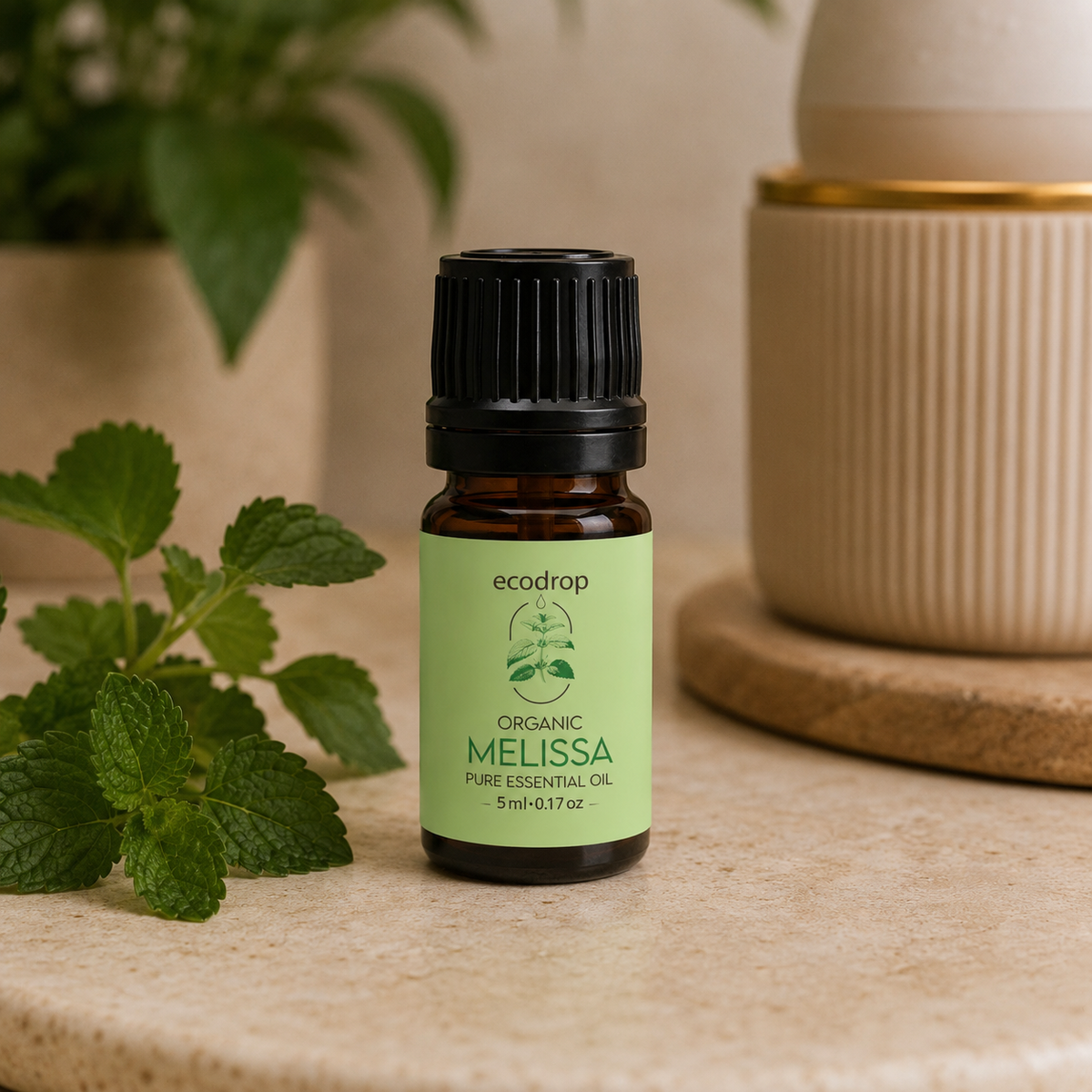 Melissa lemon balm essential oil editorial 1