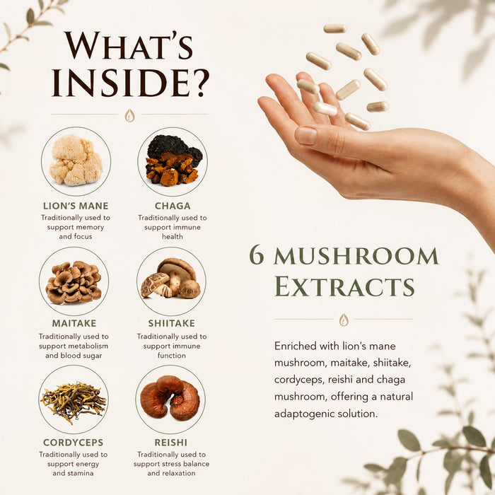 What's inside Mushroom Complex: 6 mushroom extracts