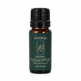 Organic eucalyptus essential oil 10ml amber bottle by Ecodrop, Eucalyptus globulus