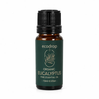 Organic eucalyptus essential oil 10ml amber bottle by Ecodrop, Eucalyptus globulus