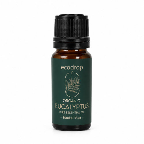 Organic eucalyptus essential oil 10ml amber bottle by Ecodrop, Eucalyptus globulus