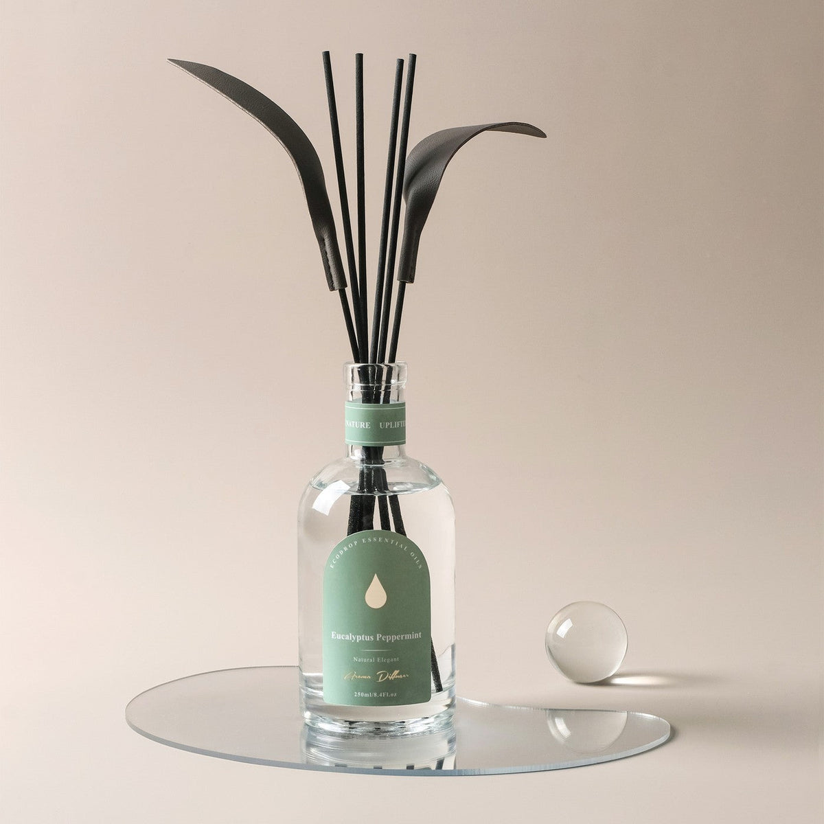 Eucalyptus & Peppermint reed diffuser set with reeds on white