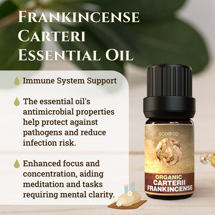 Frankincense Carterii Essential Oil - 5ml - ecodrop