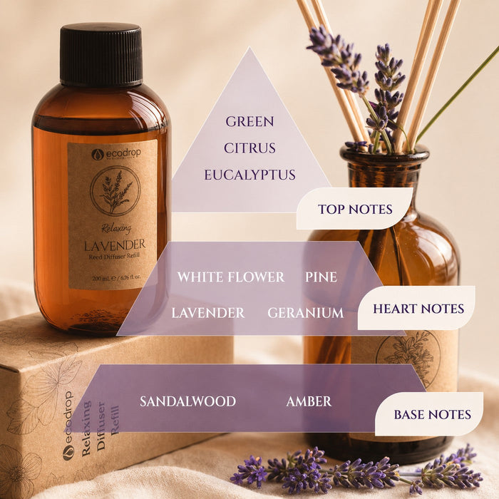 Lavender reed diffuser scent notes - top, heart and base fragrance pyramid